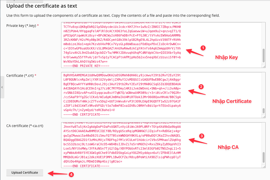 Cài đặt chứng chỉ SSL có phí trên Plesk