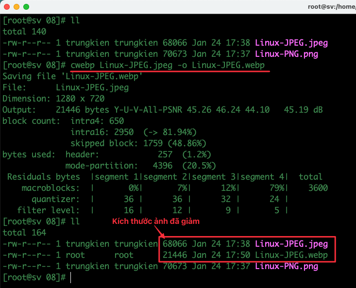 Chuyển đổi định dạng ảnh PNG/JPEG sang WEBP trên Linux