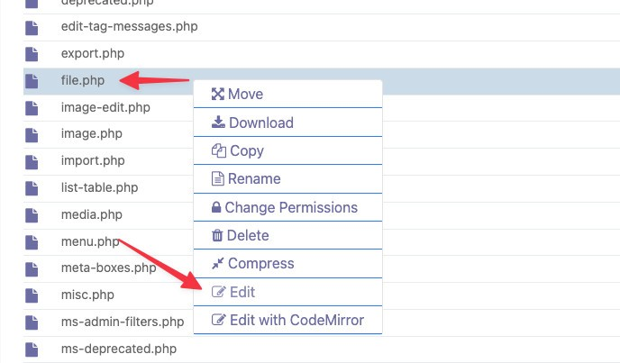 Xử lý lỗi You will need to upload your PHP file change by some other means, such as by using SFTP