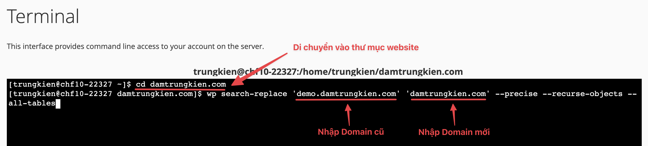 Thay đổi Domain hoàn toàn trên WordPress