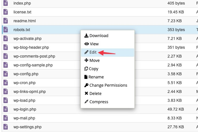 Hướng dẫn tạo và chỉnh sửa file robots.txt thủ công