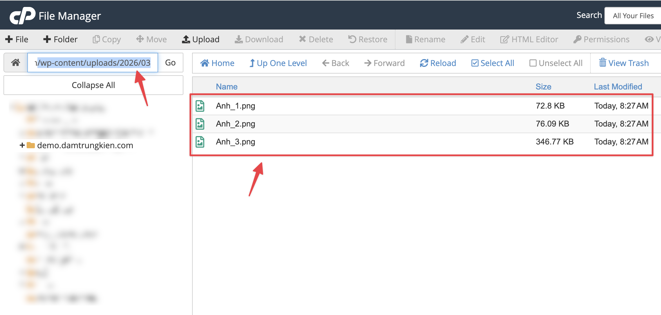 Đồng bộ Media từ Hosting vào WordPress với Plugin DTK Media Sync