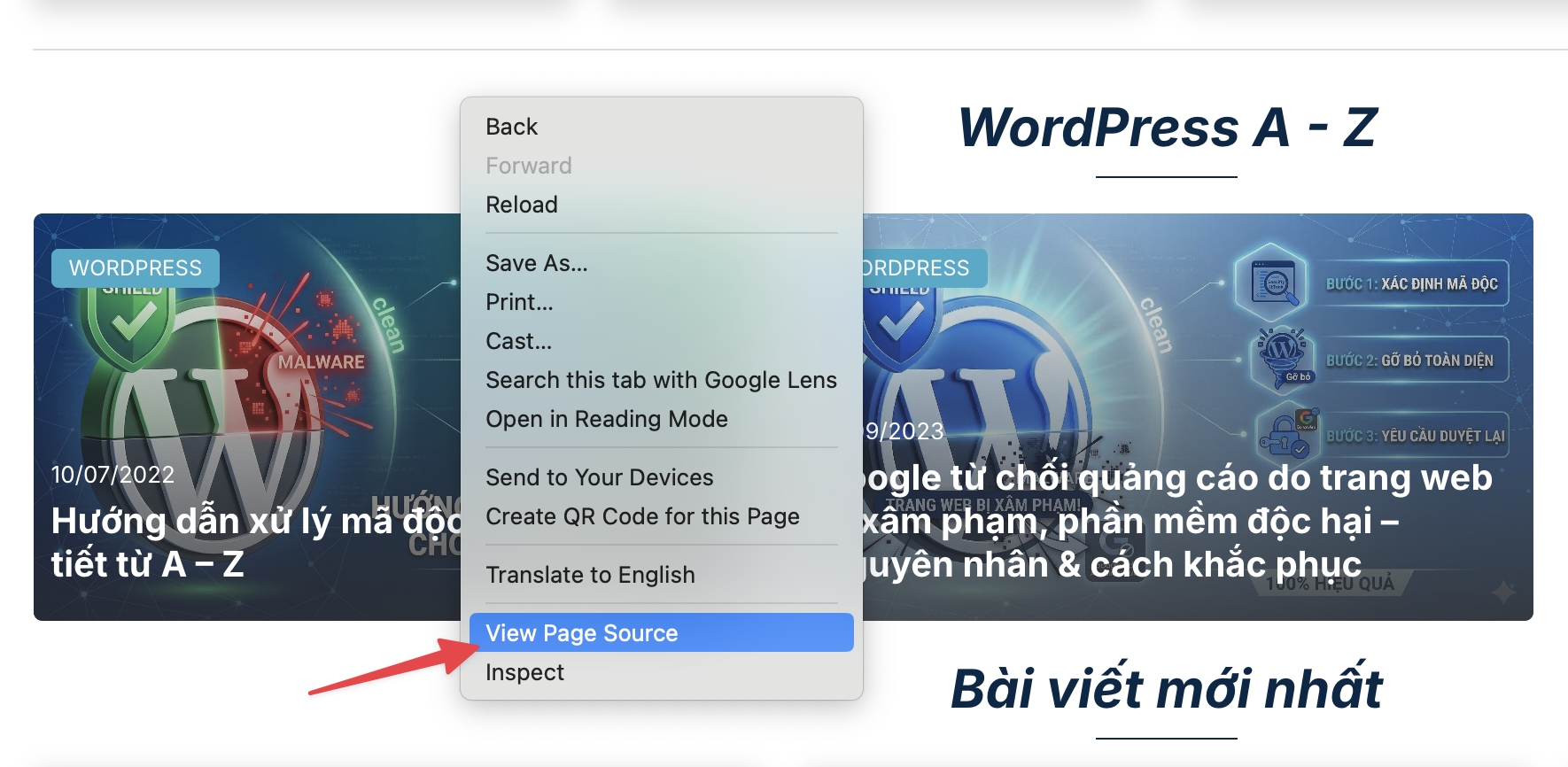 Hướng dẫn xử lý website WordPress bị No-index