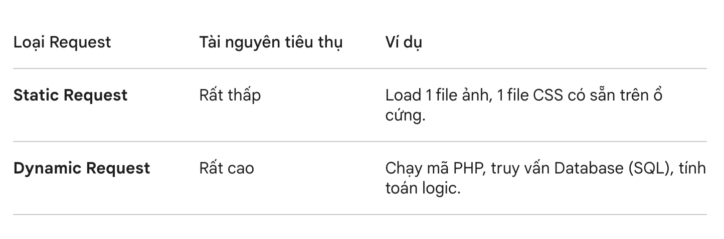 Tại sao chỉ vài người online đã làm sập Web?